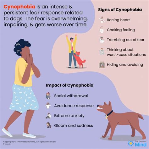 Cynophobia Symptoms causes treatment and FAQs