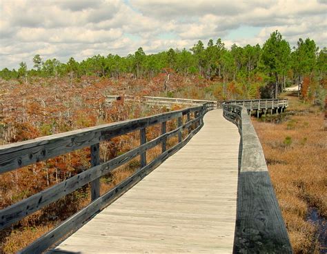 Cypress boardwalk. Located between Cypress Outlets, Katy MIlls, hospitals, and approx. 30 miles to downtown. Enjoy some time by the lake, the Boardwalk is only about 3 miles away; or take in a movie down the street. If you want an adventure or a place to relax, this guest apt is right for you. 