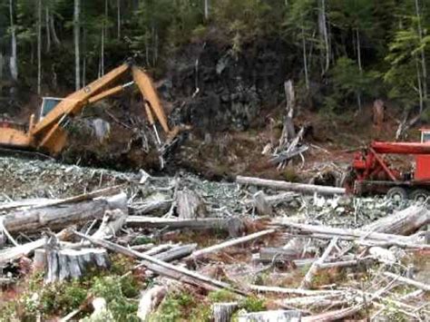 Cypress creek logging - Facebook