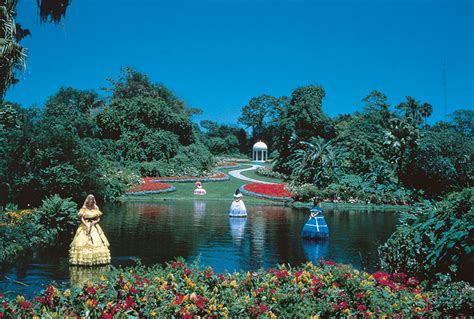 Cypress gardens. Jan 24, 2017 · Cypress Gardens Adventure Park, Florida’s first theme park, reopened late last year after a two-year closure. The park, which originally opened in 1936, had its heyday in the 1950s and 1960s ... 