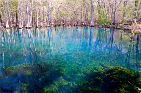 Cypress springs florida. Jul 18, 2023 · All the spots are linked to Google Maps for directions and more Information. 1. Vortex Spring - Ponce De Leon, Florida. Vortex Springs, Photo Courtesy of @nicgreening. Vortex Springs, about an hour's drive from Destin, is a popular destination for people of all ages. 