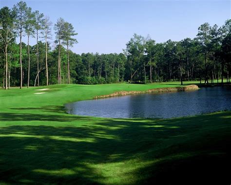 Cypresswood golf course. Cypresswood, another excellent Foresight Golf managed course, is home to two of Houston's top 15 rated courses – The Cypress Course and The Tradition Course. Both courses are located on 800 acres of treed and gently rolling … 
