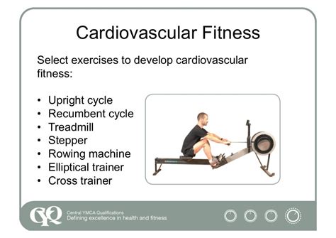 Cyq exercise and fitness knowledge manual. - Repair manual for scoot and go scooters.