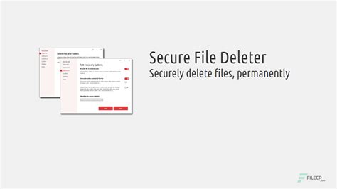 Cyrobo Secure File Deleter Pro 6.07 With Crack 