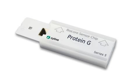 Cytiva Series S Sensor Chip Protein G, Pack of 1 - Fisher Sci