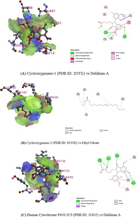 Cytochrome P450 2C9 - Straight Healthcare