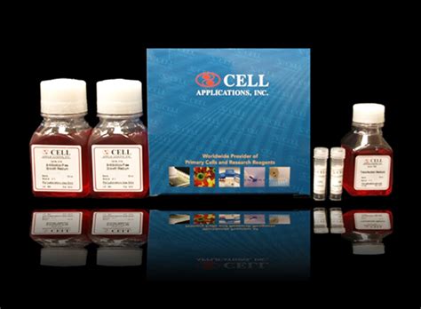 Cytofect -HUVEC Transfection Kit - Cell Applications