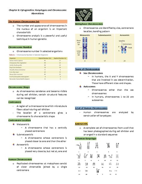 Cytogenetics: Karyotypes and Chromosome Aberrations