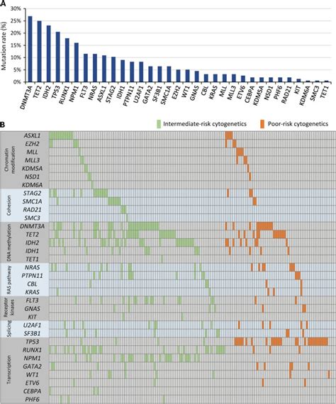 Cytogenetics and gene mutations influence survival in older