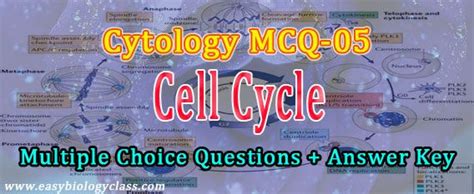 Cytology multiple choice questions and answers. - Vdo alfa romeo 159 navigation manual.