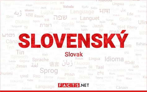 Czech Language Slovak Language Language Language Study