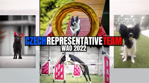 Czech representative honors cordial connections with first toss at showcase contest in Seoul