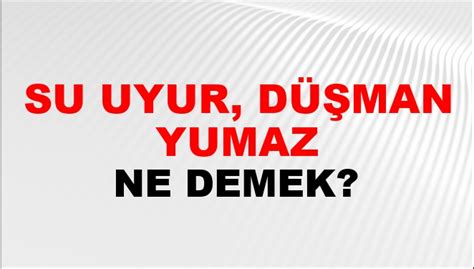 Düşman Ne Demek.