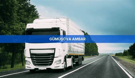Düzce Gumusova terapi halı yıkama