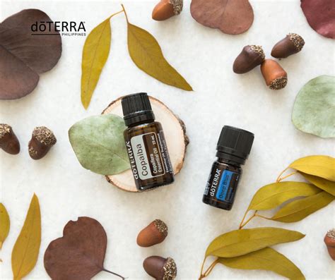 dōTERRA Essential Oils PH | Native to the ... - wintechmobiles.com