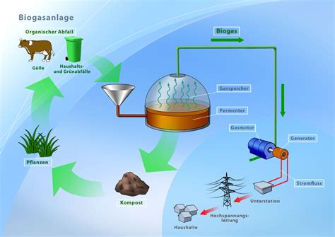 D Biogasnutzung Endfassung 090708