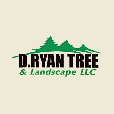 D Ryan Tree & Landscaping Services LLC Reviews