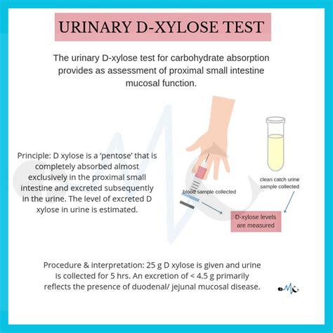 D Xylose Test & Example Free PDF Download