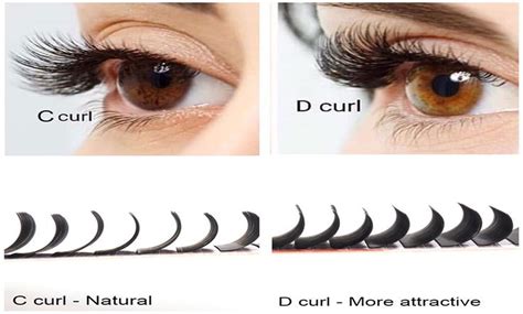 D curl vs c curl. Jan 29, 2024 · C curl vs D curl eyelash extensions: When comparing c vs d curl lashes, the key difference lies in their curvature. C curls have a more gradual curve, while D curls offer a sharper, more intense bend. Both cater to different lash curls preferences and eye shapes, allowing individuals to choose based on the desired outcome. 