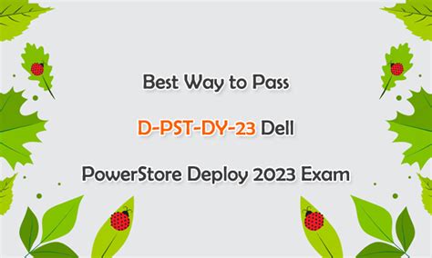 D-PST-DY-23 Online Prüfungen