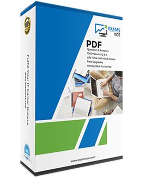 D-VPX-OE-A-24 PDF Testsoftware