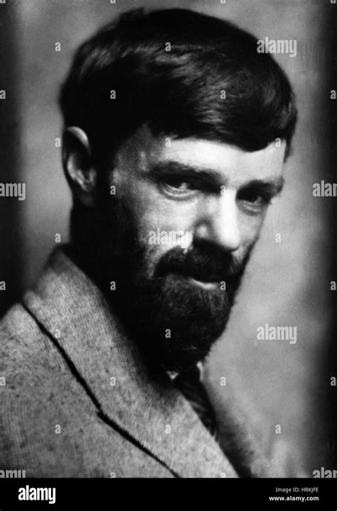 D.H. Lawrence