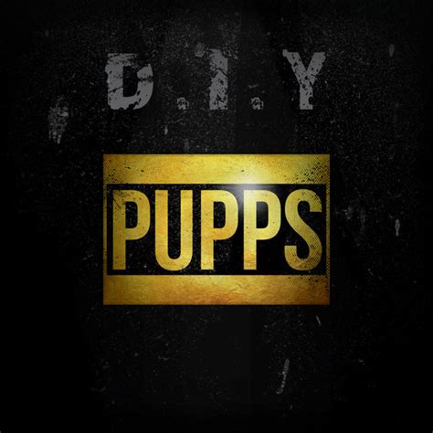 D.I.Y. - Single by Pupps Spotify