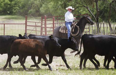 D.W. Winters Livestock, SOUTH MAIN DEL RIO, TX. 79932