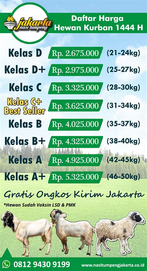 Daftar Harga Kambing dan Domba Terbaru … - raincitystudios.com