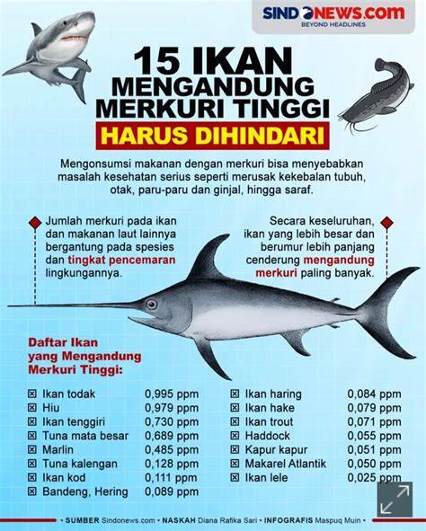 Daftar Ikan dengan Kandungan Merkuri Tinggi - raincitystudios.com
