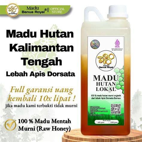 Daftar Perusahaan Madu hutan Terlengkap - Maret 2026 | Indonetwork - raincitystudios.com