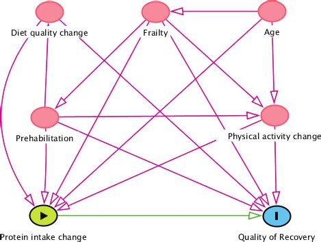 DAGitty - drawing and analyzing causal diagrams (DAGs) - wintechmobiles.com