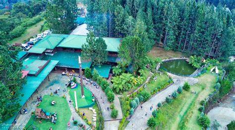 Dahilayan Forest Park Resort: The Ultimate Family Playground in ... - raincitystudios.com