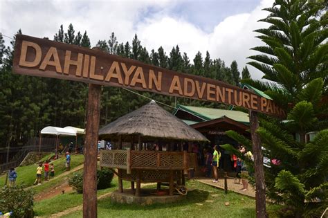 Dahilayan Pine Grove and Forest Park - Relax … - raincitystudios.com