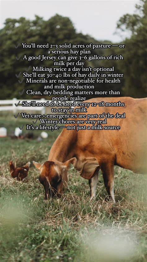Daily Pasture Commitment: Freshness Every Day - raincitystudios.com