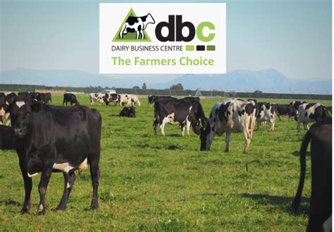 DAIRY BUSINESS CENTRE (NZ) LIMITED - Dun & Bradstreet