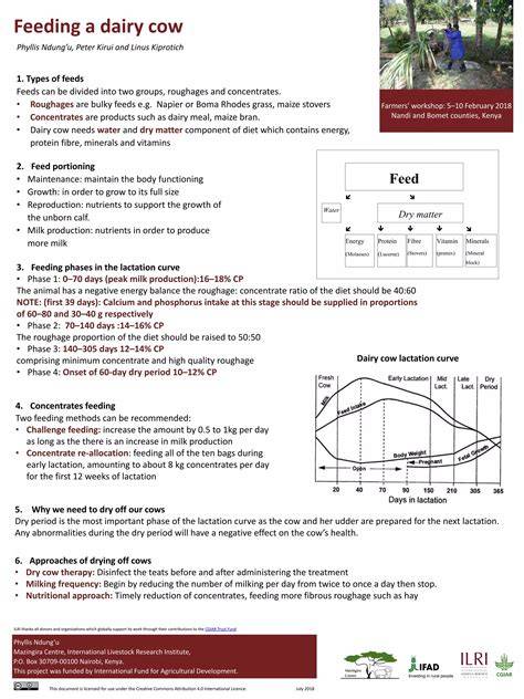 Dairy Cattle Nutrition: Feeding Strategies, Forages, and Ration ... - raincitystudios.com