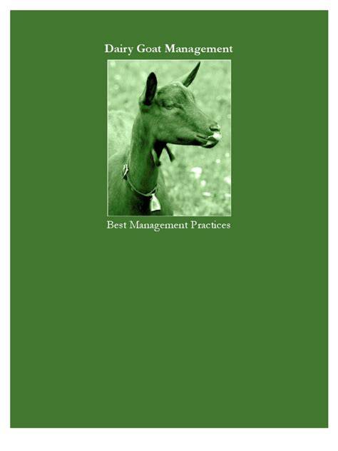 Dairy Goat Management 1 - raincitystudios.com
