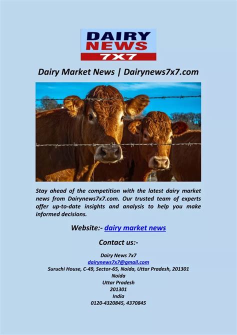 DAIRY MARKET NEWS