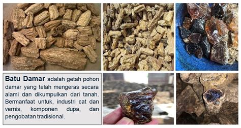 Damar Batu - Premium Indonesian gums &-resins … - raincitystudios.com