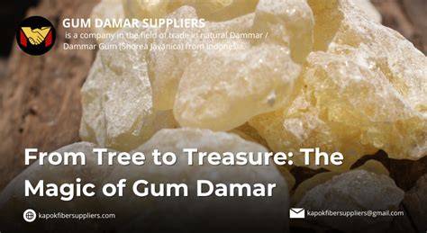 Dammar gum explained - raincitystudios.com
