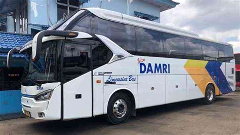damri sintang - elchoricharrua.com