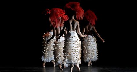 Dance Umbrella Announces 2024 Festival Programme - muktibox.com