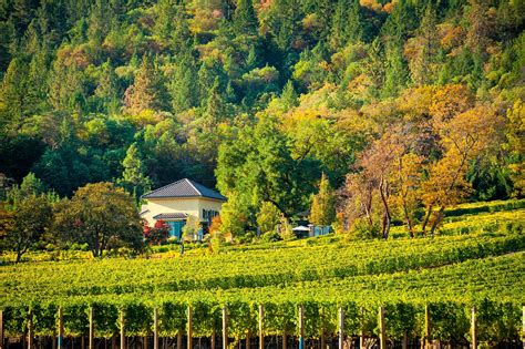 DANCIN Vineyards Oregon Pinot Noir, Chardonnay and Barbera