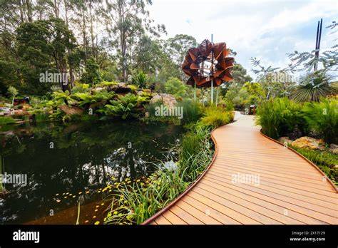 Dandenong Ranges Botanic Garden - Parks Victoria - raincitystudios.com