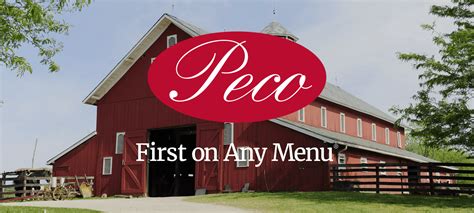 DANNY AINSWORTH, Peco Foods Inc. Spoke