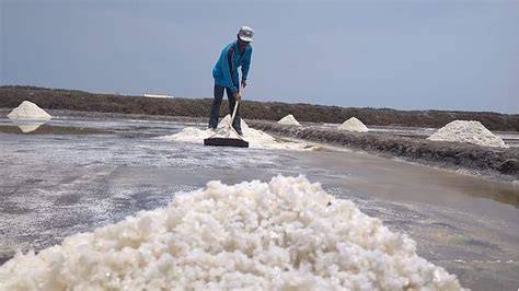 Dari Mana Asal Garam di Laut - raincitystudios.com