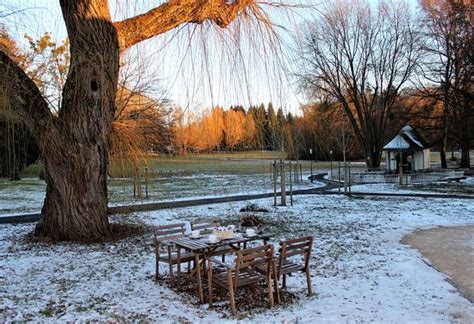 DAS CAFE AM PARK, Bad Salzhausen - Tripadvisor