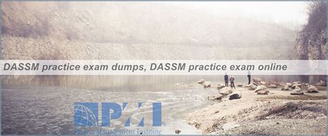 DASSM Online Test.pdf