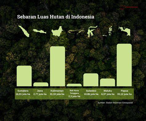 Data 70 Tahun Hutan Indonesia, Mengurai Peran Sektor Sawit dalam ... - raincitystudios.com